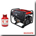 BISON(CHINA) OEM Factory Easy Move With Tire Kit Methane Gas Generator